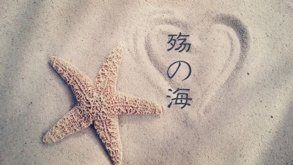 如何网上购张下铺票